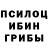 Галлюциногенные грибы Psilocybe Edenilson Bomfim